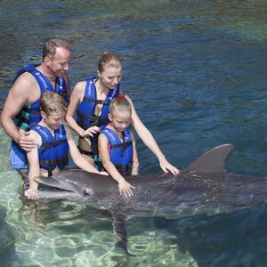 Veranstaltung: Xcaret Dolphin Tour Plus y nado con delfines, Delphinus Xcaret in Playa del Carmen