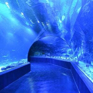 Veranstaltung: Acuario Atlantis: Entradas sin colas, Atlantis Aquarium Madrid in Madrid