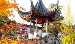 Veranstaltung: Dr. Sun Yat-Sen Chinese Garden: Entry Ticket + Guided Tour Option, Dr. Sun Yat-Sen Classical Chinese Garden in Vancouver