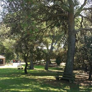 Veranstaltung: Parc animalier de la Barben : Billet d'entrée, Barben Animal Park in La Barben