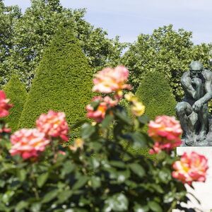 Veranstaltung: Carte d'adhésion au Musée Rodin, Musée Rodin in Paris