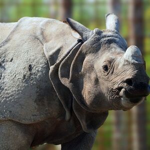 Veranstaltung: Eindhoven Zoo, Dierenrijk Nuenen in Mierlo