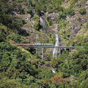 Veranstaltung: Kuranda, Scenic Rail & Skyrail: Full Day Tour from Cairns, Skyrail Rainforest Cableway in Cairns