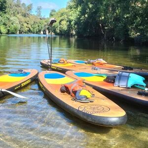 Veranstaltung: Passeio de Standup Paddle no Rio Paiva saindo do Porto com traslado, Day Trips from Porto in Porto