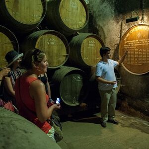 Veranstaltung: Arrábida: Tour de vinho de dia inteiro saindo de Lisboa + degustação de vinhos, Wine Day Trips from Lisbon in Lisbon