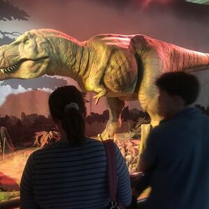 Veranstaltung: Natural History Museum London: Guided Tour, Natural History Museum in London