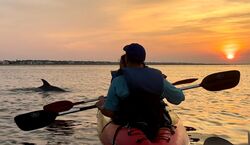 Veranstaltung: Virginia Beach: Dolphin Kayak Tour: This is a Workout!, in Virginia Beach