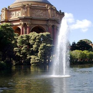 Veranstaltung: San Francisco City Tour + Muir Woods, Muir Woods in Mill Valley