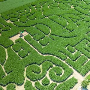 Veranstaltung: Cesenatico: Exitum Biglietto d'ingresso al labirinto di mais, Exitum, The Corn Maze in Cesenatico