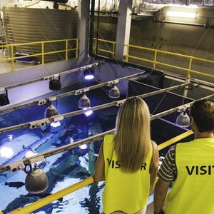 Veranstaltung: Marine Life Encounter at Cairns Aquarium, Cairns Aquarium in Cairns City