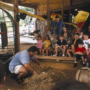 Veranstaltung: Insta-Gator Ranch & Hatchery: Entry Ticket + Guided Tour, Insta-Gator Ranch & Hatchery in Covington (LA)