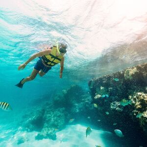 Veranstaltung: Cancún: Museo Subacuático MUSA, lancha rápida por la jungla y excursión de snorkel, Cancún Water Sports in Cancún