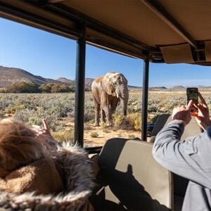 Veranstaltung: Cape Town: Full-Day Guided Safari + Roundtrip Transfer + Lunch, Day Trips from Cape Town in Cape Town