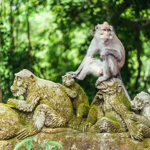 Veranstaltung: Tanah Lot Bali Temple Sunset Tour – Half Day, Tanah Lot Temple in Bali