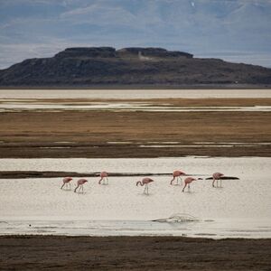 Veranstaltung: Punta Walichu: Guided Tour + Roundtrip Transfer, Day Trips from El Calafate in El Calafate