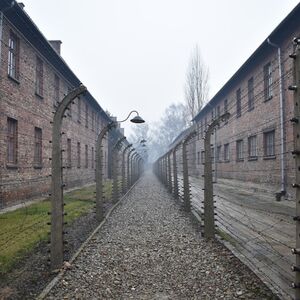 Veranstaltung: Auschwitz-Birkenau: Guided Tour from Krakow + Hotel Pickup, Auschwitz Tours from Kraków in Krakow