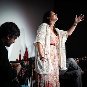 Veranstaltung: Porto: Fado na Baixa, Fado na Baixa in Porto