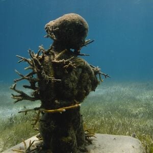 Veranstaltung: Cancún: Paseo en barco con fondo de cristal por el Museo Subacuático de Arte MUSA con bebida, MUSA Cancún Underwater Art Museum in Cancún