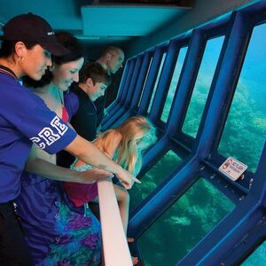 Veranstaltung: Great Barrier Reef Adventure, Green Island in Cairns