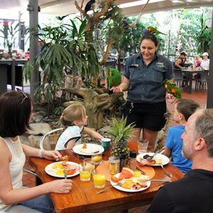 Veranstaltung: Port Douglas Wildlife Habitat, Wildlife Habitat in Port Douglas