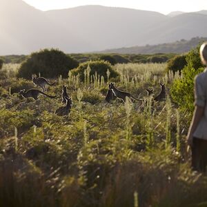 Veranstaltung: Wilsons Promontory National Park: Day Trip from Melbourne, Wilson's Promontory Day Trips from Melbourne in Melbourne