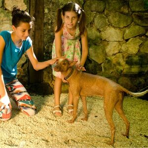 Veranstaltung: Croco Cun Zoo: Entrada de acceso rápido, Croco Cun Zoo in Cancún