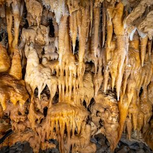 Veranstaltung: La grotte Grand Roc: Visite guidée en français, Grotte du Grand Roc in Les Eyzies