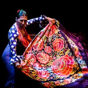 Veranstaltung: Museo del Baile Flamenco: Entrada + Espectáculo Flamenco, Museo del Baile Flamenco in Seville