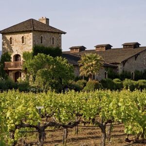 Veranstaltung: Napa Valley & Sonoma: Wine Tour from San Francisco, Union Square in SF Bay Area