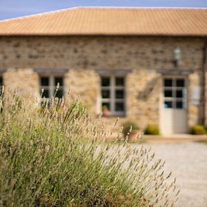 Veranstaltung: Azienda vinicola Corte Pavone: Degustazione di vini di Montalcino, Tuscany Wine Tasting in Montalcino