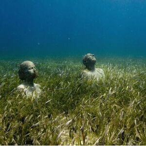 Veranstaltung: MUSA Museo Subacuático de Arte de Cancún: Excursión con esnórquel y barco con fondo de cristal y bebida, Cancún Water Sports in Cancún