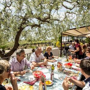 Veranstaltung: Vesuvio: Degustazione di vini in un vigneto di Napoli, Mount Vesuvius in Ercolano