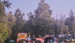 Veranstaltung: Fiesta en Trajinera por Xochimilco: Mariachi, bebidas a bordo & cena de tacos, Hostal Amigo in Ciudad de México