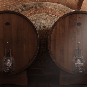 Veranstaltung: Siena: Degustazione VIP di vino, olio e cibo presso un vigneto toscano, Tenuta Mocenni: Bindi Sergardi in Vagliagli