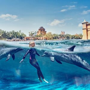 Veranstaltung: Aquaventure: Entry Ticket + Atlas Village Dolphin Swim, Atlas Village - Dolphin & Sea Lion Experiences in Dubai