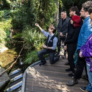 Veranstaltung: Melbourne Museum: Guided Highlights Tour, Melbourne Museum in Melbourne