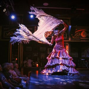 Veranstaltung: Teatro Flamenco Málaga: Espectáculo Flamenco, Tablao Alegría Flamenco Málaga in Málaga