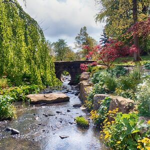 Veranstaltung: RHS Garden Harlow Carr: Entry Ticket, RHS Garden Harlow Carr in Harrogate