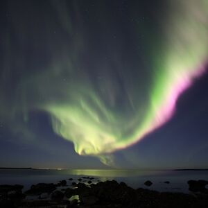 Veranstaltung: Northern Lights: Small-Group Guided Tour with Free Photos, Northern Lights Tours from Reykjavik in Reykjavík