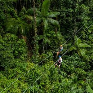 Veranstaltung: Treetops Adventure - Cape Tribulation, Treetops Adventure Cape Tribulation in Cape Tribulation