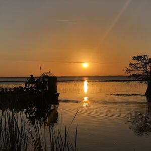 Veranstaltung: Everglades: 1-Hour Boggy Creek Night Airboat Tour, Daytona Beach Day Trips from Orlando in Orlando