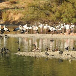 Veranstaltung: Cañada de los Pájaros, Cañada de los Pájaros in La Puebla del Río