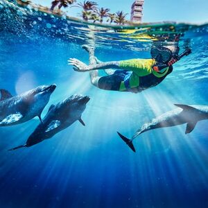 Veranstaltung: Aquaventure: Entry Ticket + Atlas Village Dolphin Swim, Atlas Village - Dolphin & Sea Lion Experiences in Dubai