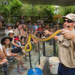 Veranstaltung: Hartley's Crocodile Adventures: Roundtrip from Cairns, Hartley's Crocodile Adventures in Wangetti