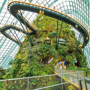 Veranstaltung: Gardens by the Bay: Flower Dome & Cloud Forest (Optional), Gardens by the Bay in Singapore