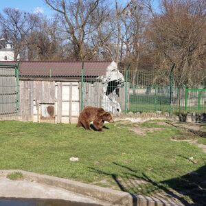 Veranstaltung: Oradea Zoo: Meet & Greet, Oradea Zoo in Oradea