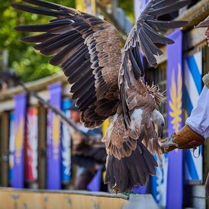 Veranstaltung: Puy du Fou: Billet d'entrée, PUY DU FOU in Les Epesses