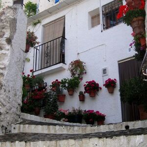 Veranstaltung: Granada: Excursión a la Alpujarra con almuerzo, Granada Food Tours in Granada