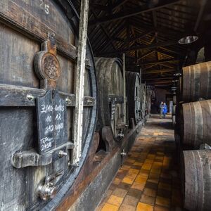 Veranstaltung: Caves Burmester: prova de vinhos do Porto, Burmester Wine Cellars in Vila Nova de Gaia