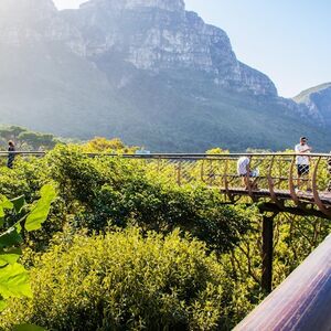 Veranstaltung: Constantia: Full-Day Wine Tour + Roundtrip Transfer, Cape Town in cape town